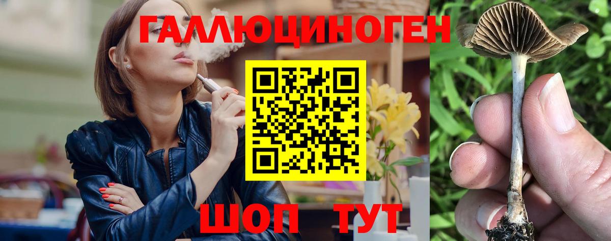 Псилоцибиновые грибы мицелий Выборг