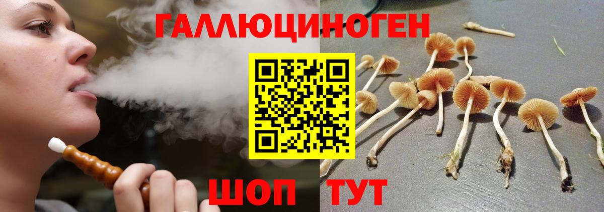 Псилоцибиновые грибы Psilocybine cubensis  Псилоцибиновые грибы Cubensis  цены   Выборг  Вход с VPN 