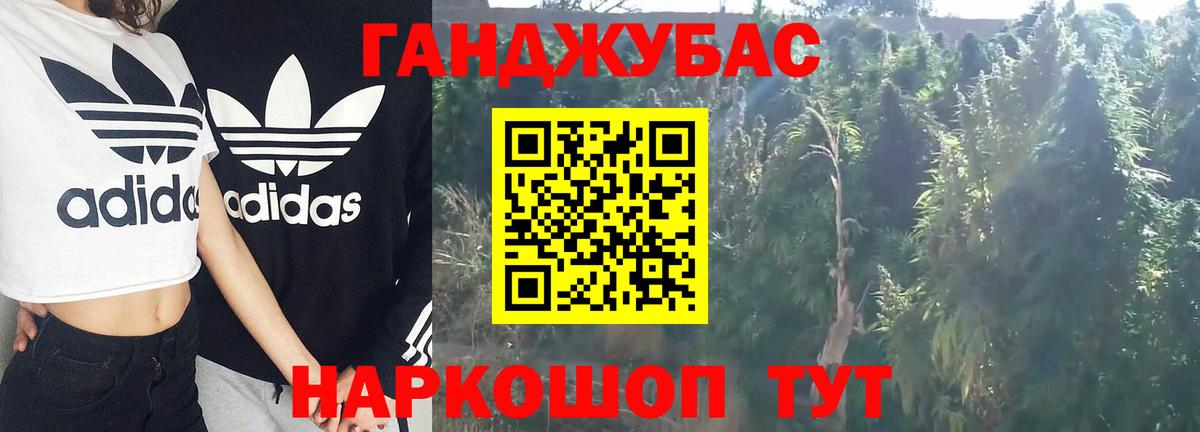Марихуана конопля  Вход с VPN  Выборг  Шишки марихуана Bruce Banner  Каннабис планчик 
